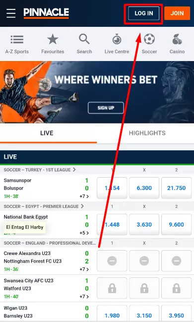 Pinnacle Verification